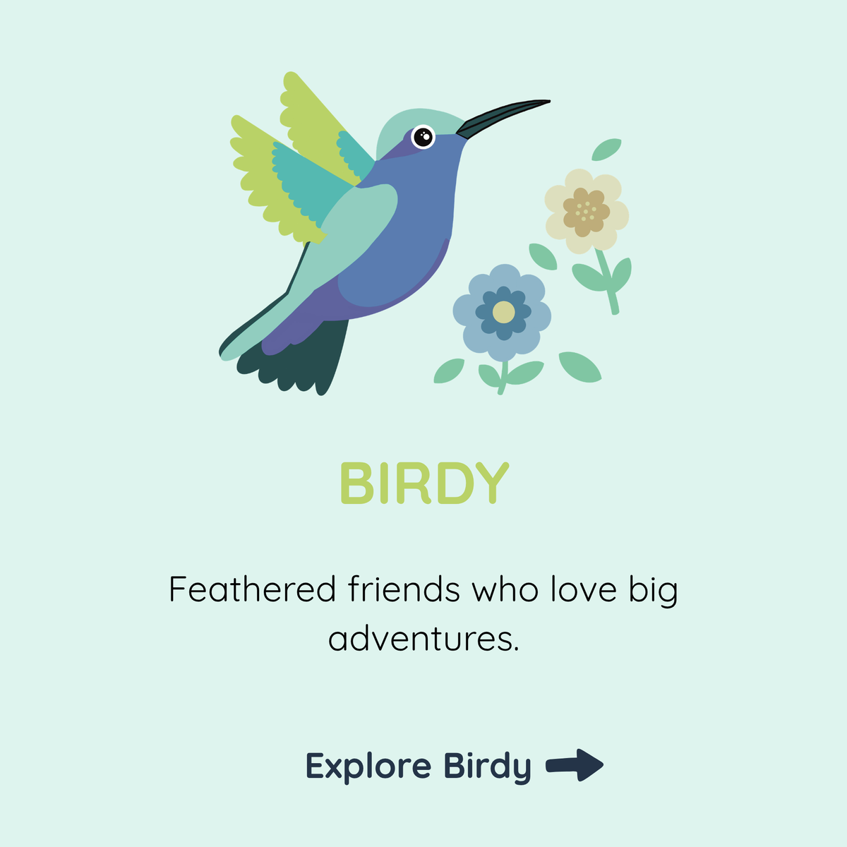 Birdy Collection
