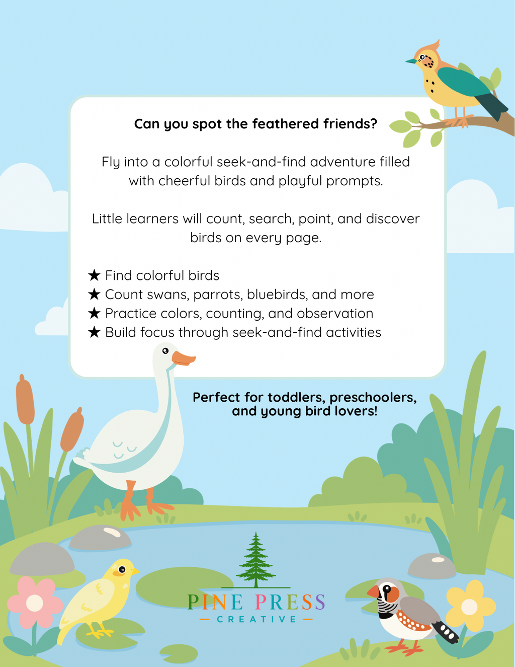 Birds Seek and Find Activity Book: A Colorful Counting Adventure, Ages 2 to 5  - Paperback