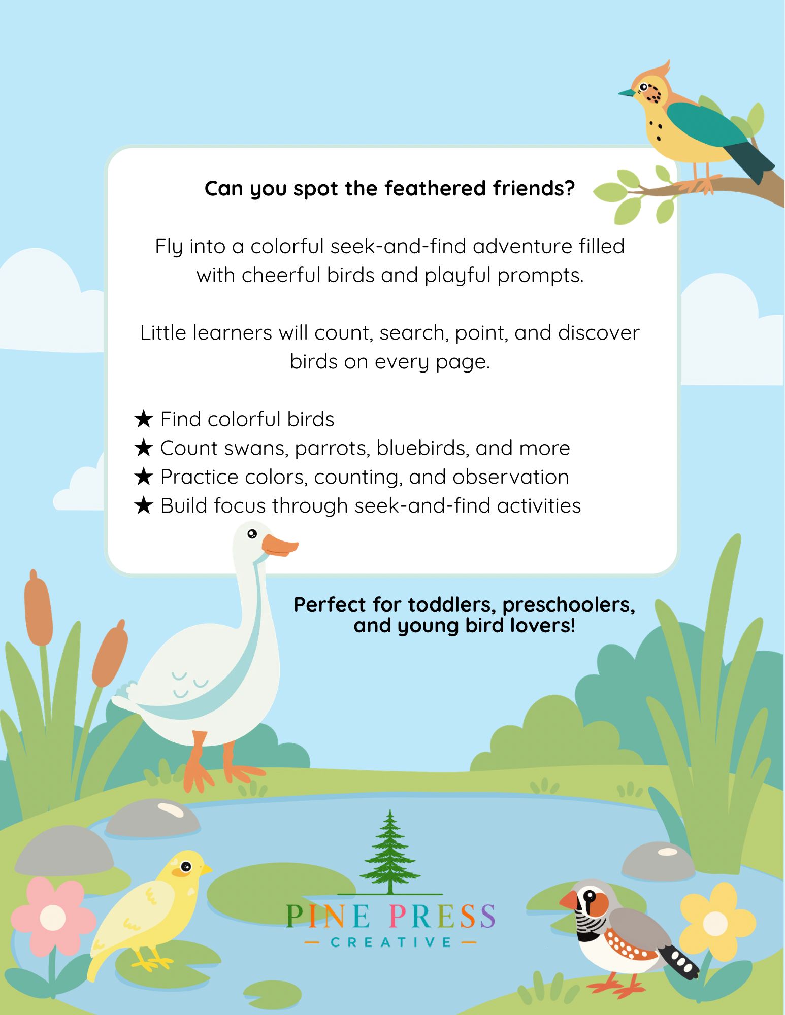 Birds Seek and Find Activity Book: A Colorful Counting Adventure, Ages 2 to 5  - Paperback
