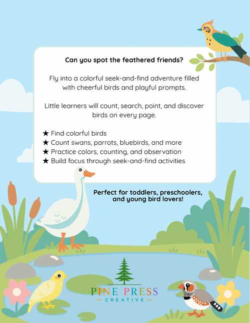 Birds Seek and Find Activity Book: A Colorful Counting Adventure, Ages 2 to 5  - Paperback