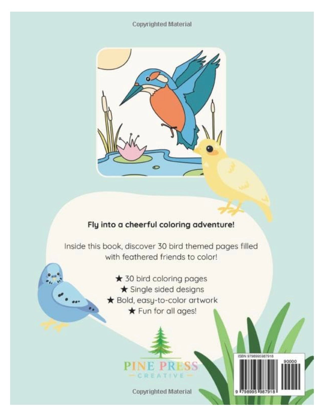 Birds A Colorful Adventure, Coloring Book for All Ages!: Cute and Easy Bird Coloring Pages for Kids, Adults and Bird Lovers